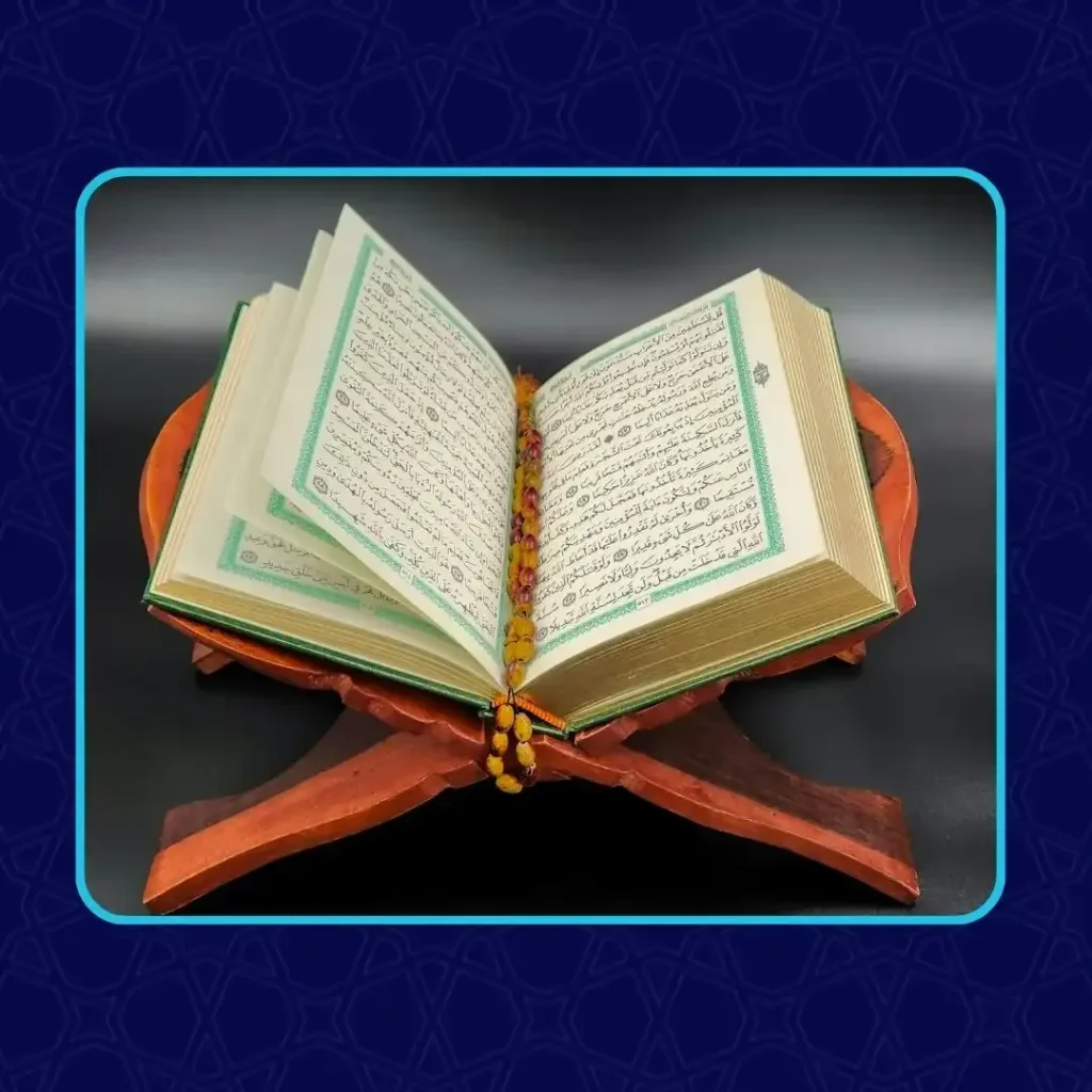 imgi_7_CBSp9utxJTANUZf1747849174