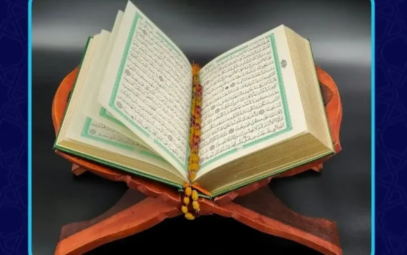 imgi_7_CBSp9utxJTANUZf1747849174